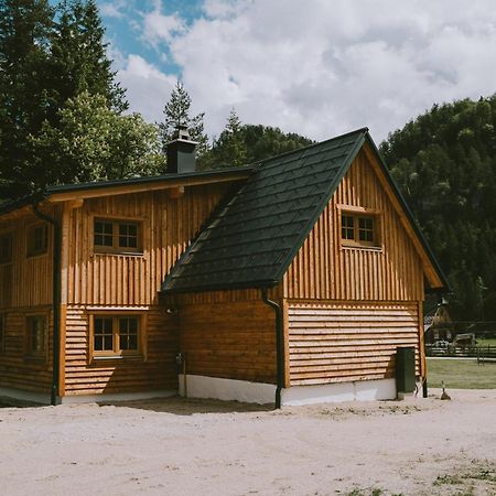 Naturparkresort S'Keuscherl Wildalpen Luaran gambar